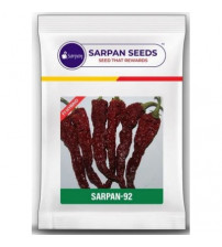 Chilli / Hot Pepper Sarpan 92 -30 grams